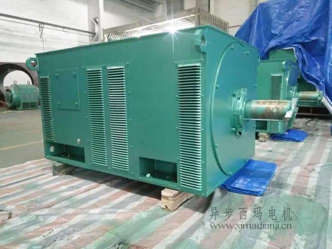 西瑪電機Y5603-10 560KW <a href=http://www.lengsj.com/new/new-47-621.html target='_blank'><a href=http://www.lengsj.com/new_tags_225.html target='_blank'>10kv高壓電機</a></a>